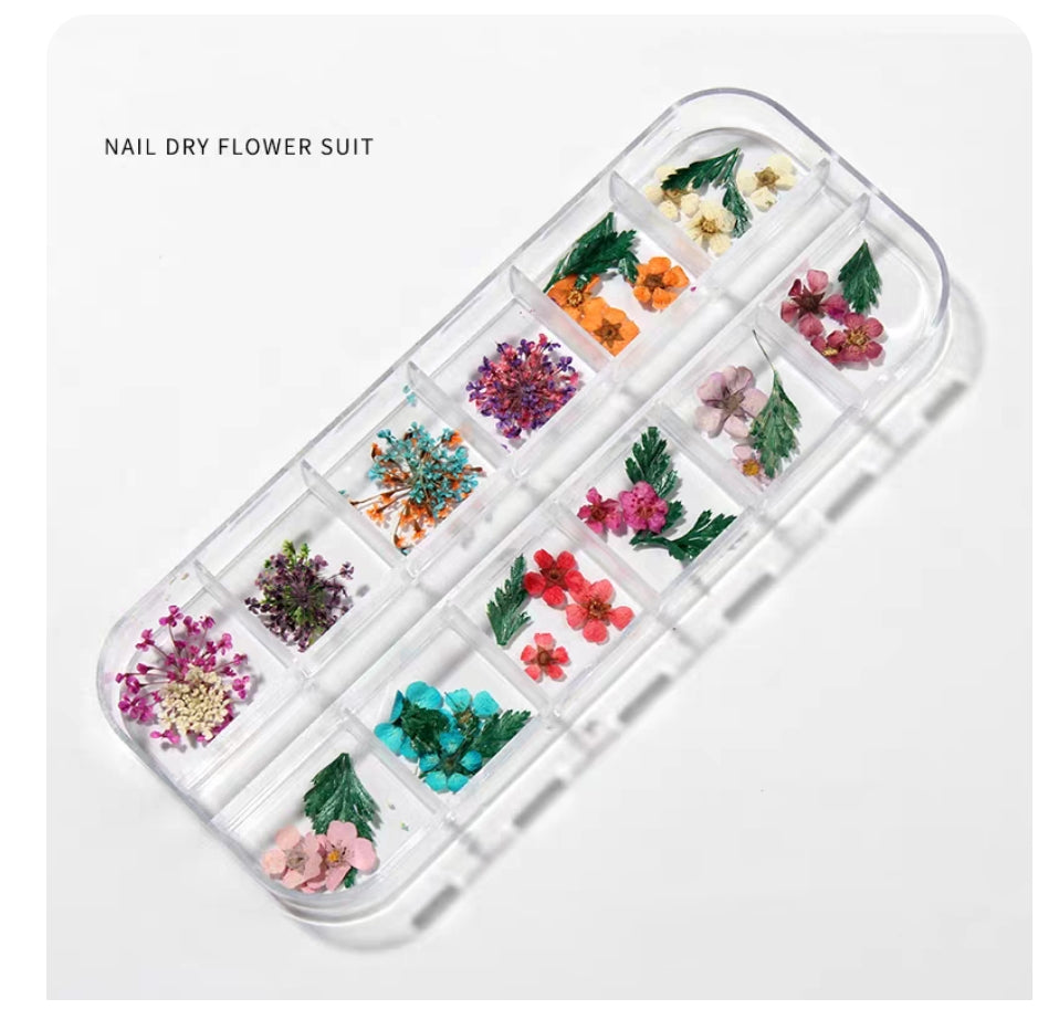 12 Grid Dried Flowers - Accessories